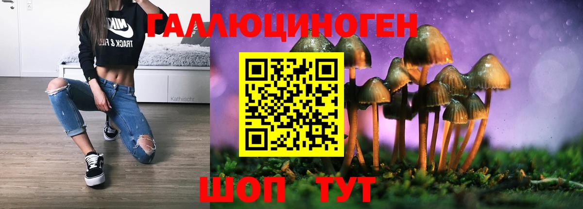 Псилоцибиновые грибы Psilocybine cubensis Железногорск